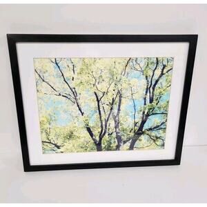 Pottery Barn Wood Gallery Frame Black Tree Canopy Matted Blue Sky